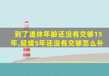 到了退休年龄还没有交够15年,延续5年还没有交够怎么补