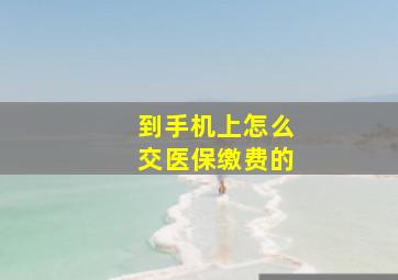 到手机上怎么交医保缴费的