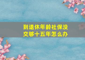 到退休年龄社保没交够十五年怎么办