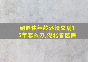 到退休年龄还没交满15年怎么办,湖北省医保