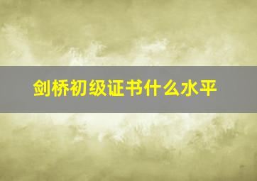 剑桥初级证书什么水平