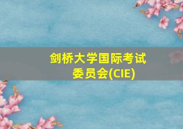 剑桥大学国际考试委员会(CIE)