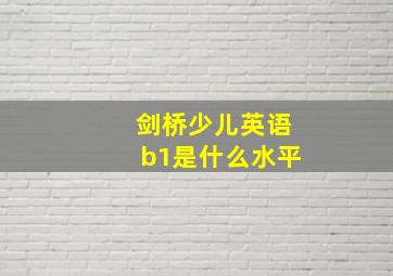 剑桥少儿英语b1是什么水平