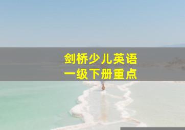 剑桥少儿英语一级下册重点