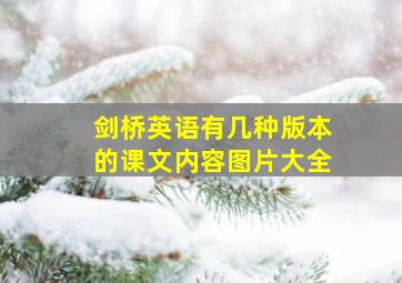 剑桥英语有几种版本的课文内容图片大全