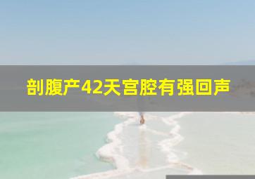 剖腹产42天宫腔有强回声