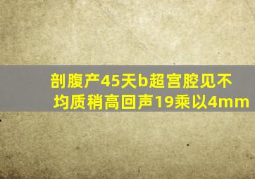 剖腹产45天b超宫腔见不均质稍高回声19乘以4mm