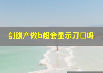 剖腹产做b超会显示刀口吗