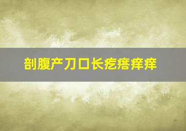 剖腹产刀口长疙瘩痒痒