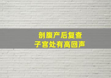 剖腹产后复查子宫处有高回声