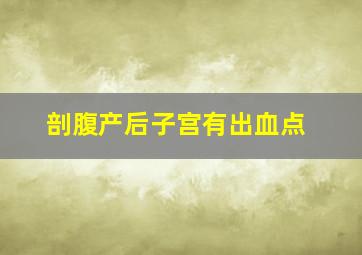 剖腹产后子宫有出血点