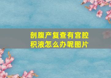 剖腹产复查有宫腔积液怎么办呢图片