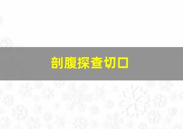 剖腹探查切口