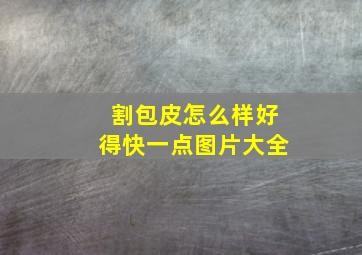 割包皮怎么样好得快一点图片大全