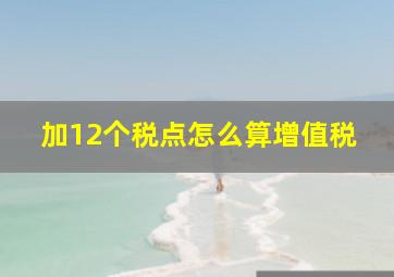 加12个税点怎么算增值税