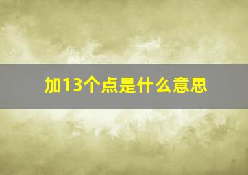 加13个点是什么意思