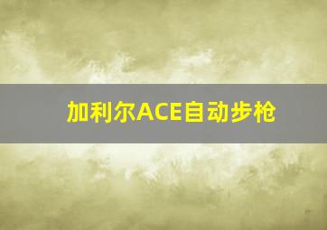 加利尔ACE自动步枪