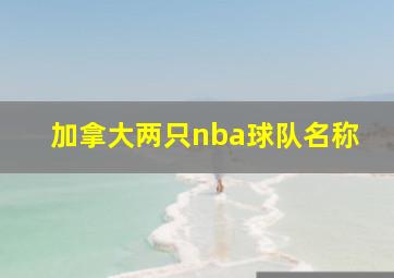 加拿大两只nba球队名称