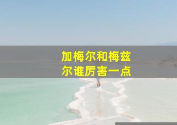 加梅尔和梅兹尔谁厉害一点