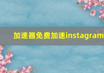 加速器免费加速instagram