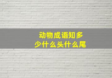 动物成语知多少什么头什么尾