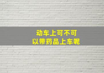 动车上可不可以带药品上车呢