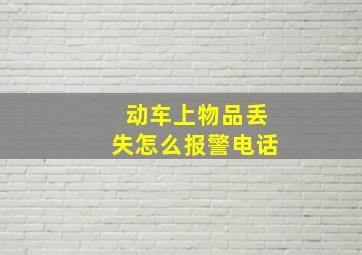 动车上物品丢失怎么报警电话