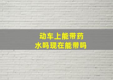 动车上能带药水吗现在能带吗