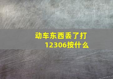 动车东西丢了打12306按什么