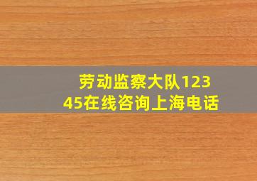 劳动监察大队12345在线咨询上海电话