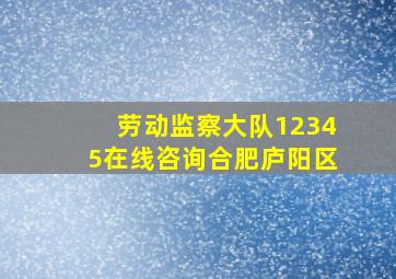 劳动监察大队12345在线咨询合肥庐阳区