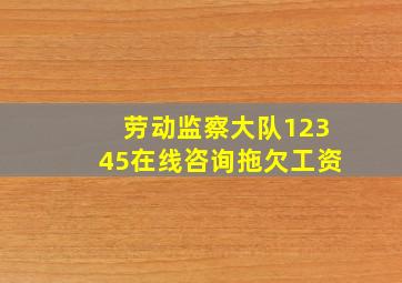 劳动监察大队12345在线咨询拖欠工资