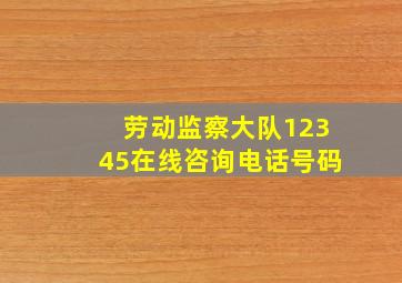 劳动监察大队12345在线咨询电话号码