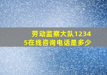 劳动监察大队12345在线咨询电话是多少