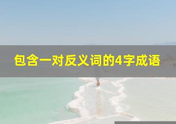 包含一对反义词的4字成语