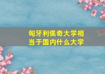 匈牙利佩奇大学相当于国内什么大学