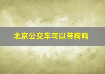 北京公交车可以带狗吗