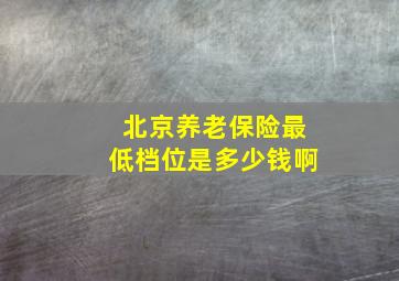 北京养老保险最低档位是多少钱啊