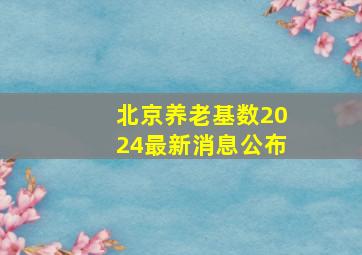 北京养老基数2024最新消息公布