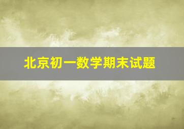 北京初一数学期末试题