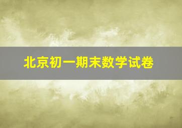 北京初一期末数学试卷