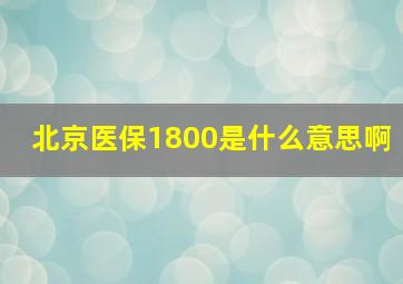 北京医保1800是什么意思啊