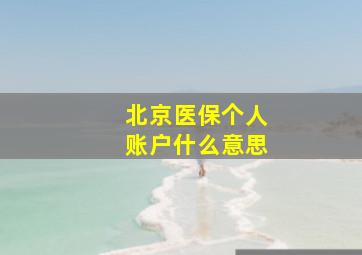 北京医保个人账户什么意思