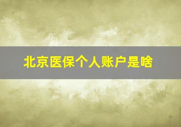 北京医保个人账户是啥