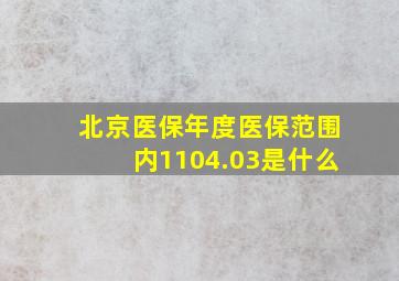 北京医保年度医保范围内1104.03是什么