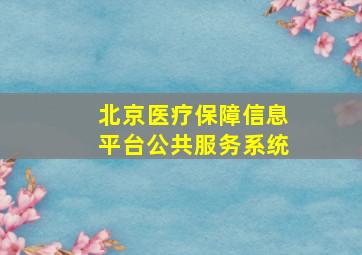 北京医疗保障信息平台公共服务系统