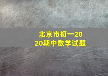 北京市初一2020期中数学试题