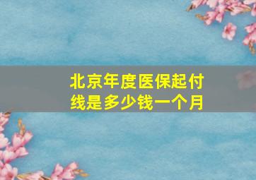 北京年度医保起付线是多少钱一个月