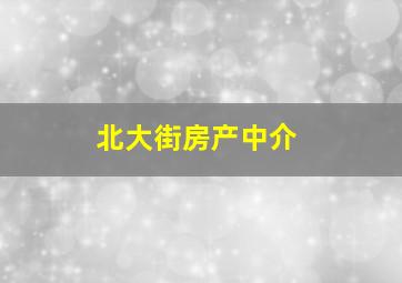 北大街房产中介