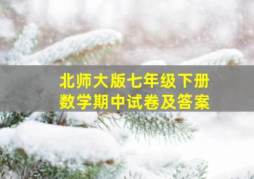 北师大版七年级下册数学期中试卷及答案